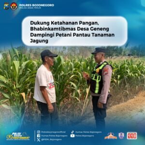 Dukung Ketahanan Pangan, Bhabinkamtibmas Desa Geneng Dampingi Petani Pantau Tanaman Jagung